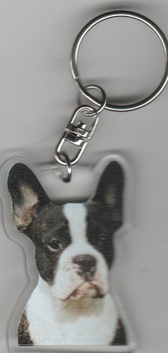 Boston terrier chien porte - boston,