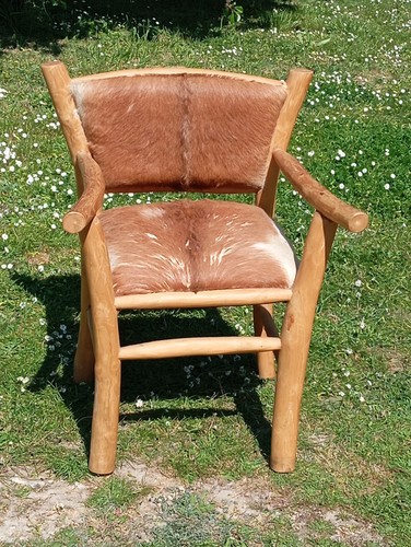 Grand fauteuil design - en, bois