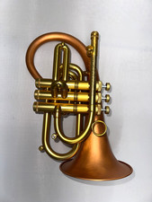 Taylor Pocket Flugelhorn Phat