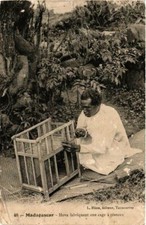 Old postcard AK Hova making a bird cage MADAGASCAR (626247)