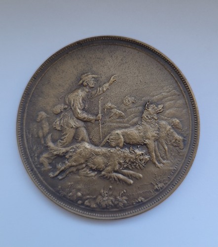 Médaille bronze club - médaille,