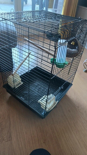 Grande cage pour oiseaux - oiseaux, &