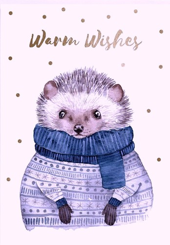 Graphique petite cozy - cozy, hedgehog