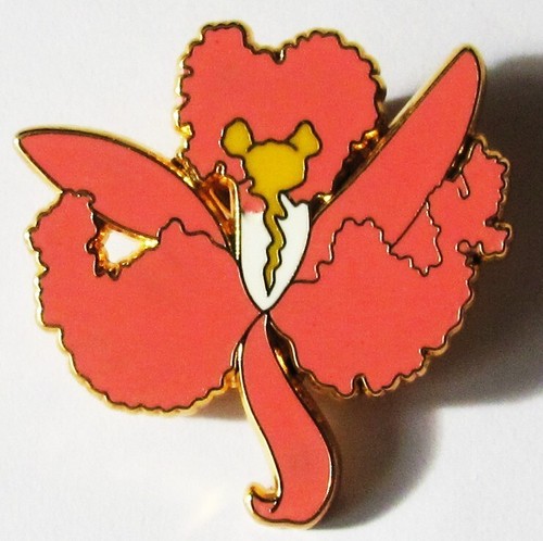 Pin fleur orchidee - fleur,