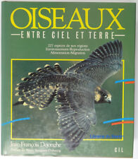 Les oiseaux entre ciel et terre Jean-François Dejonghe 1987