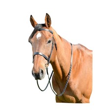 Kincade - Bridon de chasse