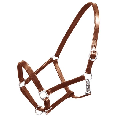Licol licou cuir réglable - licol,