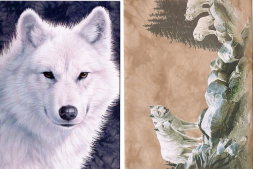 Carte chien loup blanc avec - carte,