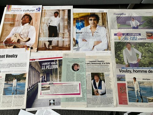 Laurent voulzy lot - voulzy, de