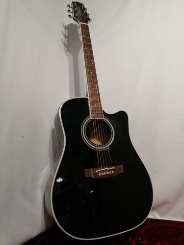 Takamine 209 noir - [takamine], pt-209