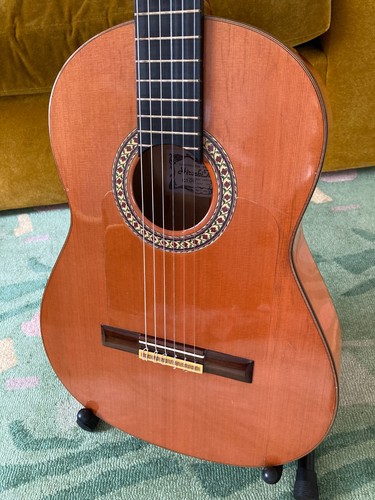 Hiroshi tamura c100 - hiroshi, flamenco