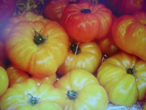 Graines tomate ananas - 50, de