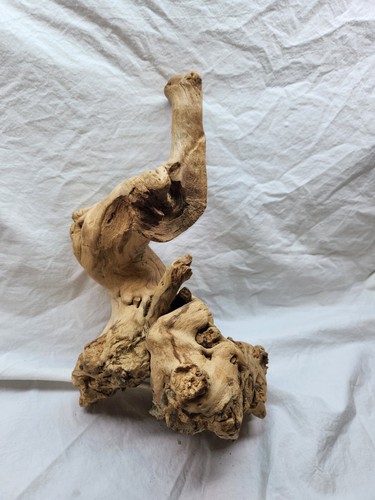 Dried authentic grapewood - dried,