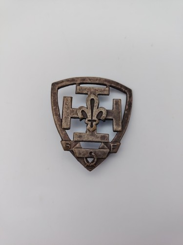 Scoutisme insigne scout - insigne, de