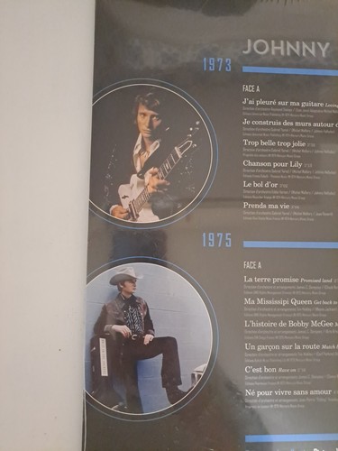 Magnifique double vinyle