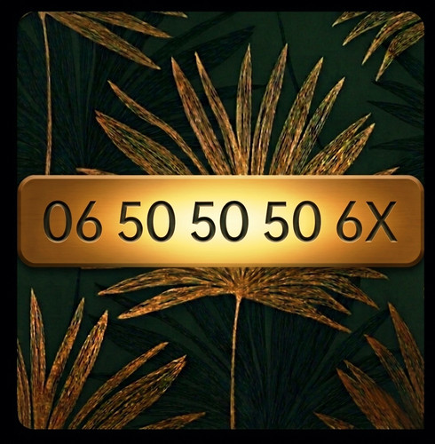 50 - 🇲🇫, 06