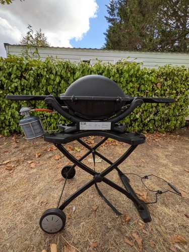 Barbecue gaz weber - barbecue, a