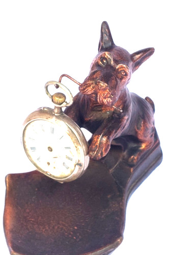Très élégant chien fox - élégant,