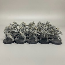 20 Gardiens Eldar Troupes