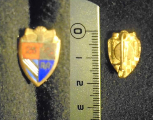 Insigne militaire 25 - insigne, –