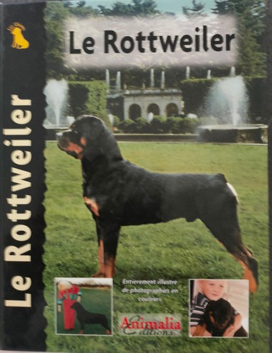 Rottweiler - le,