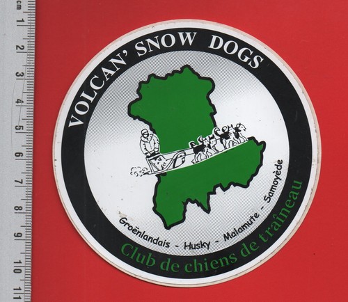 Club chien traineau - chien,