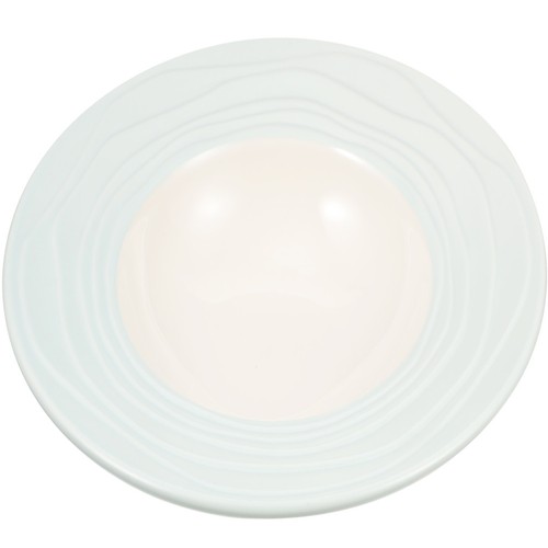 Assiette pâte creuse - assiette,