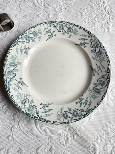 Plat rond oiseaux - plat,