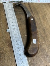 Rainette marquage Forestier