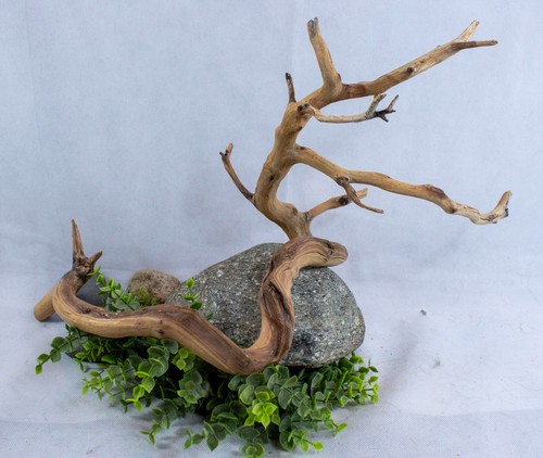 Manzanita driftwood branch - manzanita,