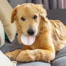  Jouet Pour Chien Interactif