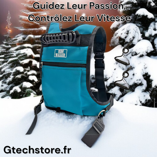 Ceinture entraînement - ceinture, d'entraînement