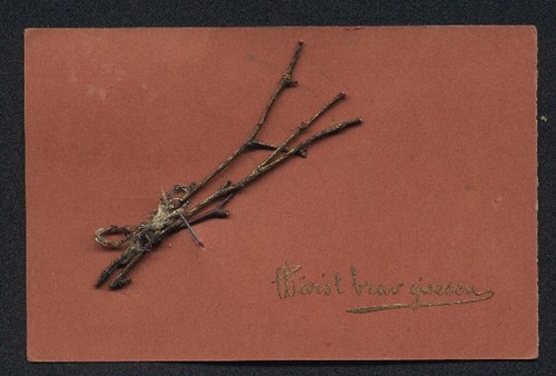 Branches carte postale - carte,