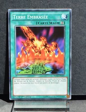 carte YU-GI-OH YGLD-FRA31