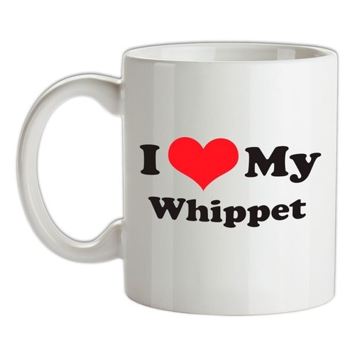 Love lévrier whippet - love,