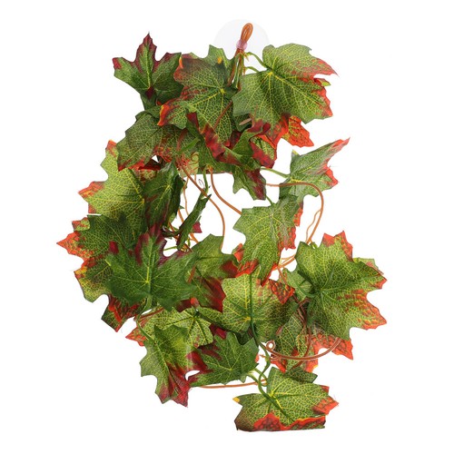 Accessoire pour terrarium - accessoire,