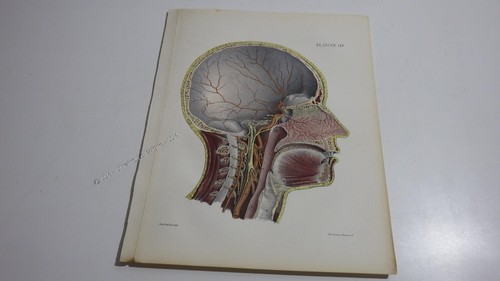 1850 lithographie couleur - 1850.lithographie,