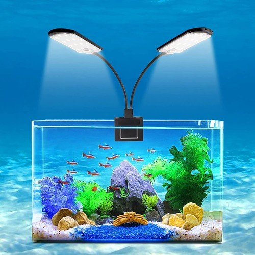 éclairage led pour - led,