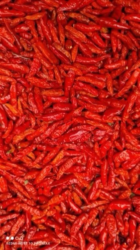 Piment oiseau pili - piment,