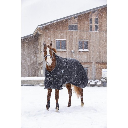 Couverture cheval riding world - cheval,