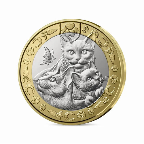 Euro 2025 spa - 5€, chat