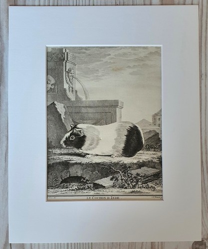 Ancienne gravure sur - , cuivre