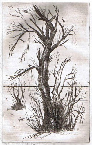 Vintage ancienne gravure - vintage,,