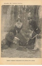 MONTFAVET  - Abeille - Essaim