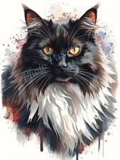 Photo A4 Black White Maine