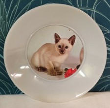 ASSIETTE plastique VINTAGE