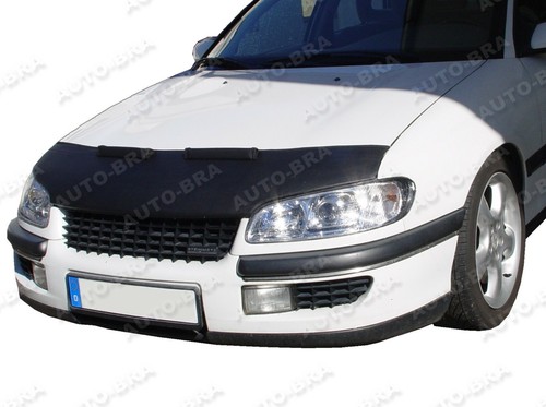 Car hood capot bra - car,