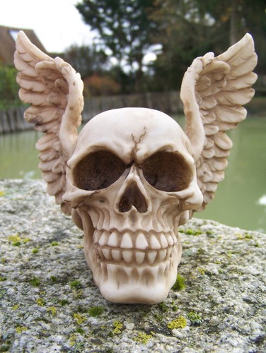 Hf1600 tete mort figurine - ,