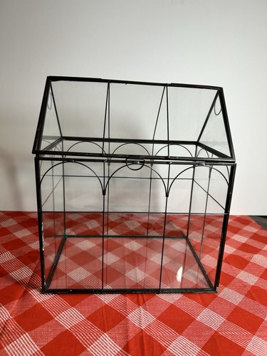Glass terrarium plant house - glass,