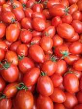 Lot De 10 Graines De Tomate